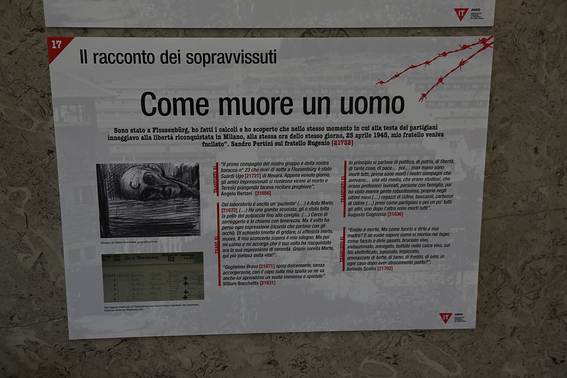 Mostra Come un fulmine_08.jpg